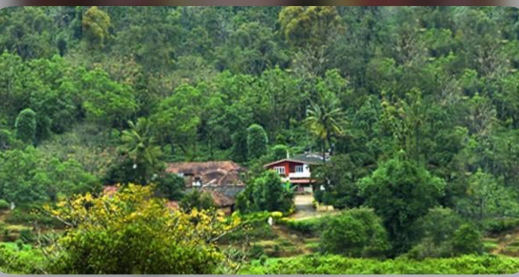 Coorg Naladi Holidays Kakkabe Zewnętrze zdjęcie